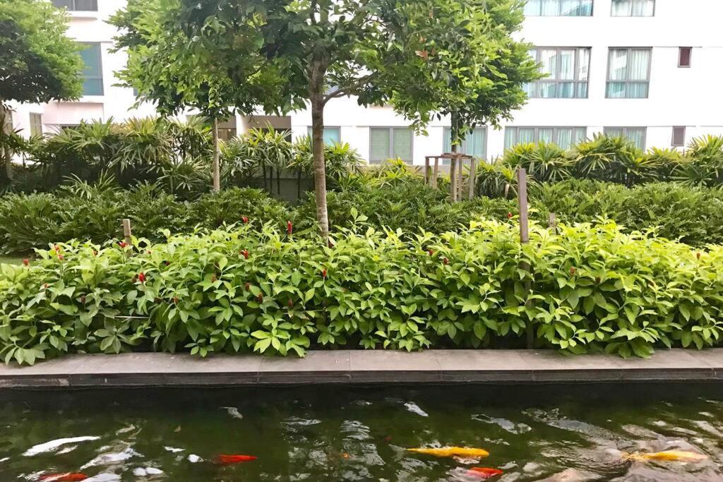 Condo In Imago Mall 亚庇最大商场imago楼里公寓 코타키나발루에서가장큰쇼핑센터아파트 Dış mekan fotoğraf